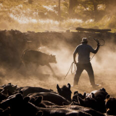 Estancia ride in Sierras Chicas, Argentina - Globetrotting horse riding holidays