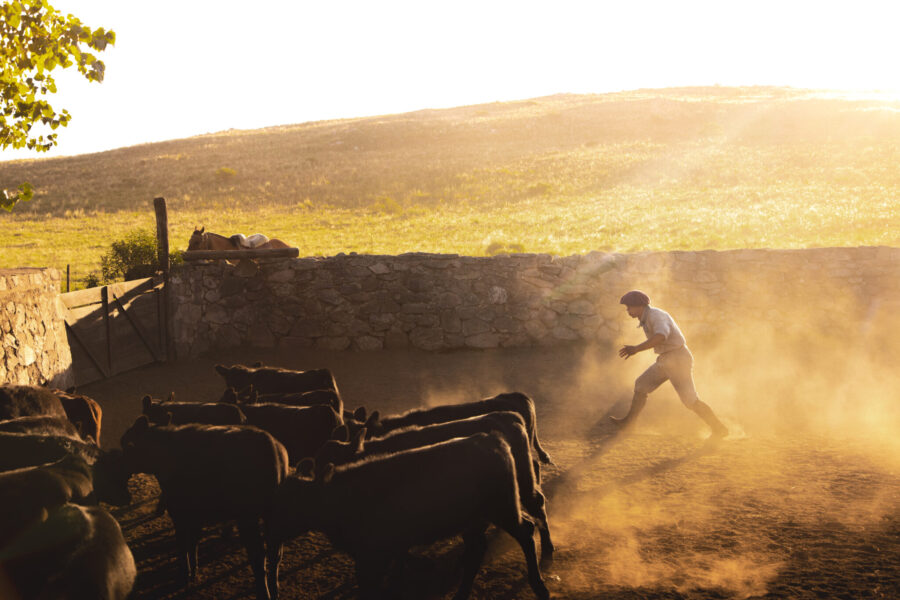Estancia ride in Sierras Chicas, Argentina - Globetrotting horse riding holidays
