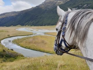 horse overlooking mountain river view riding holiday new zealand by globetrotting