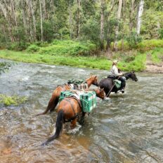 The Snowy River Ride, Victoria, Australia - Globetrotting horse riding holidays