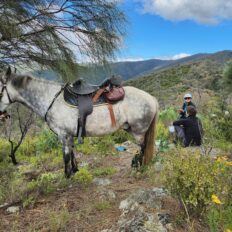 The Snowy River Ride, Victoria, Australia - Globetrotting horse riding holidays
