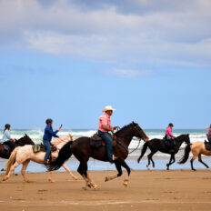 Twin Coast Adventure, New Zealand - Globetrotting horse riding holidays