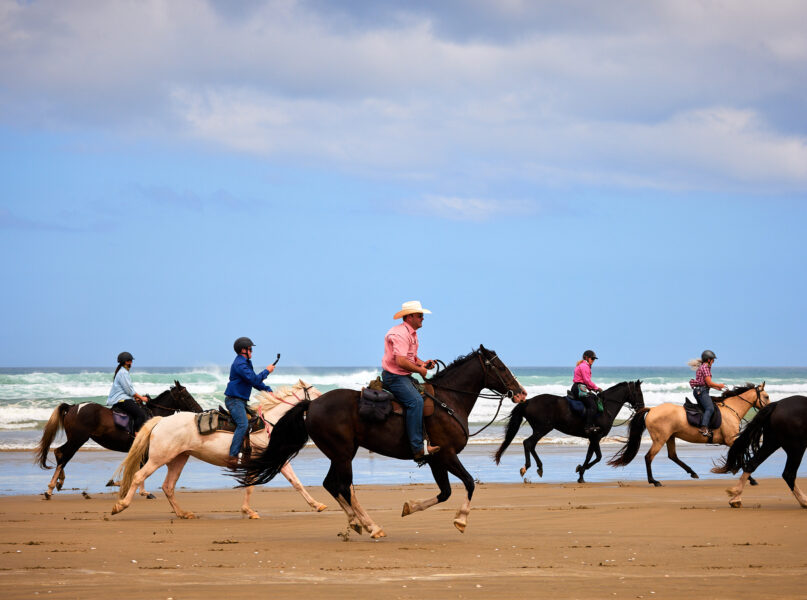 Twin Coast Adventure, New Zealand - Globetrotting horse riding holidays