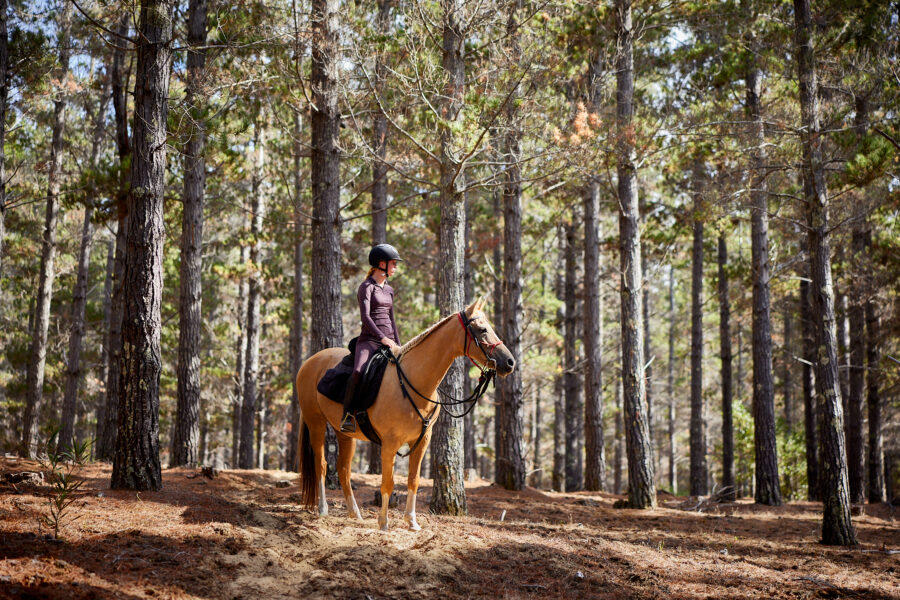 Twin Coast Adventure, New Zealand - Globetrotting horse riding holidays