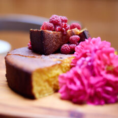 The River Valley Ride, North Island, New Zealand - Globetrotting horse riding holidays