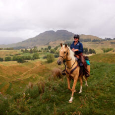 The River Valley Ride, North Island, New Zealand - Globetrotting horse riding holidays