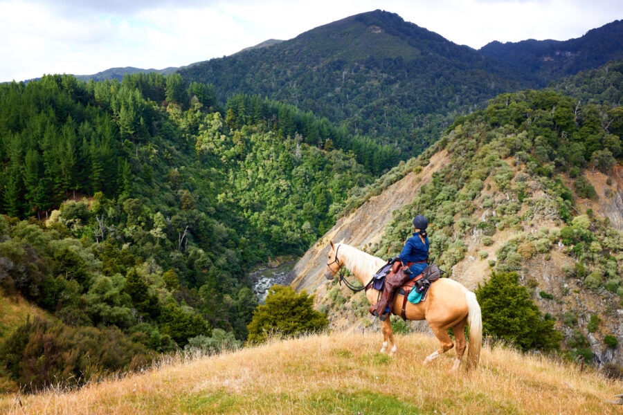 The River Valley Ride, North Island, New Zealand - Globetrotting horse riding holidays