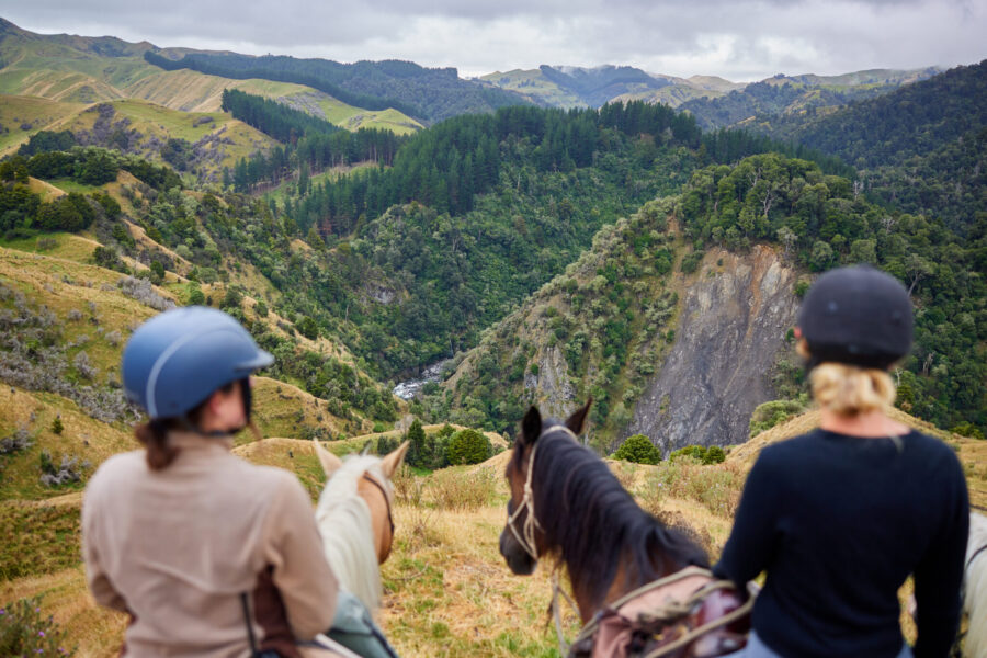 The River Valley Ride, North Island, New Zealand - Globetrotting horse riding holidays