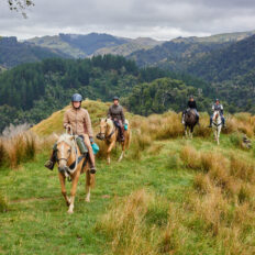 The River Valley Ride, North Island, New Zealand - Globetrotting horse riding holidays