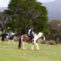 The Grampians Ride, Victoria, Australia - Globetrotting horse riding holidays