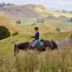 The River Valley Ride, North Island, New Zealand - Globetrotting horse riding holidays