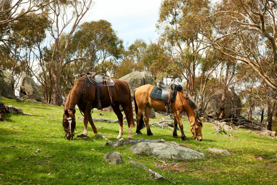 The Grampians Ride, Victoria, Australia - Globetrotting horse riding holidays