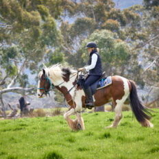 The Grampians Ride, Victoria, Australia - Globetrotting horse riding holidays