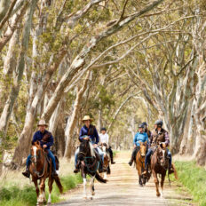 The Grampians Ride, Victoria, Australia - Globetrotting horse riding holidays