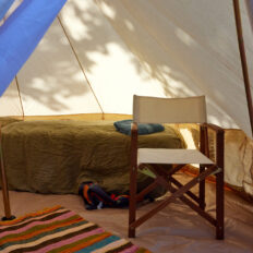 The River Valley Ride, North Island, New Zealand - Globetrotting horse riding holidays