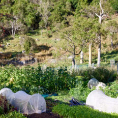 The River Valley Ride, North Island, New Zealand - Globetrotting horse riding holidays