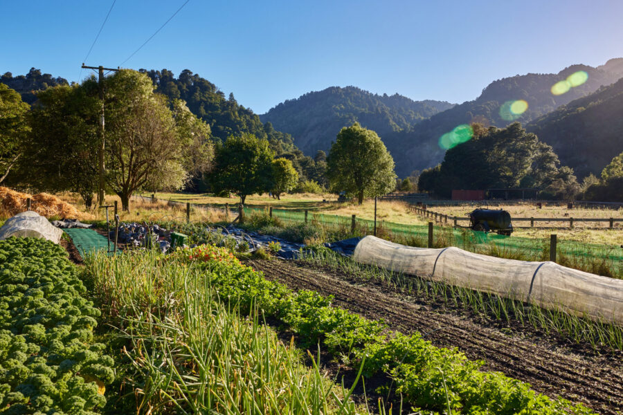 The River Valley Ride, North Island, New Zealand - Globetrotting horse riding holidays