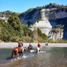 The River Valley Ride, North Island, New Zealand - Globetrotting horse riding holidays