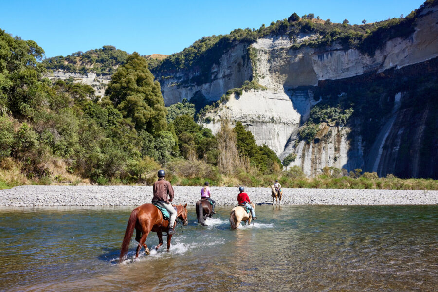 The River Valley Ride, North Island, New Zealand - Globetrotting horse riding holidays
