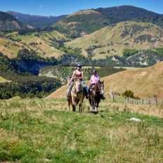 The River Valley Ride, North Island, New Zealand - Globetrotting horse riding holidays