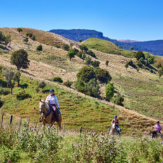 The River Valley Ride, North Island, New Zealand - Globetrotting horse riding holidays