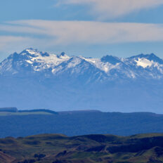 The River Valley Ride, North Island, New Zealand - Globetrotting horse riding holidays