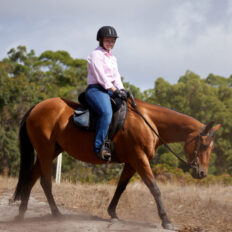 The Margaret River Ride, Western Australia - Globetrotting horse riding holidays