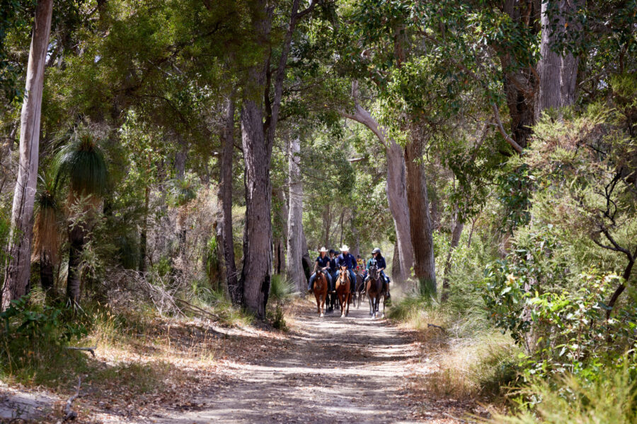The Margaret River Ride, Western Australia - Globetrotting horse riding holidays