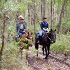 The Margaret River Ride, Western Australia - Globetrotting horse riding holidays