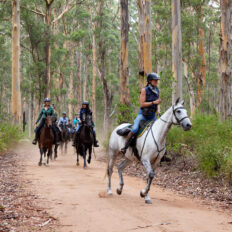 The Margaret River Ride, Western Australia - Globetrotting horse riding holidays