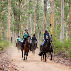 The Margaret River Ride, Western Australia - Globetrotting horse riding holidays