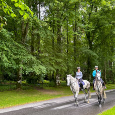 The Scottish Highlands Ride, Scotland - Globetrotting horse riding holidays