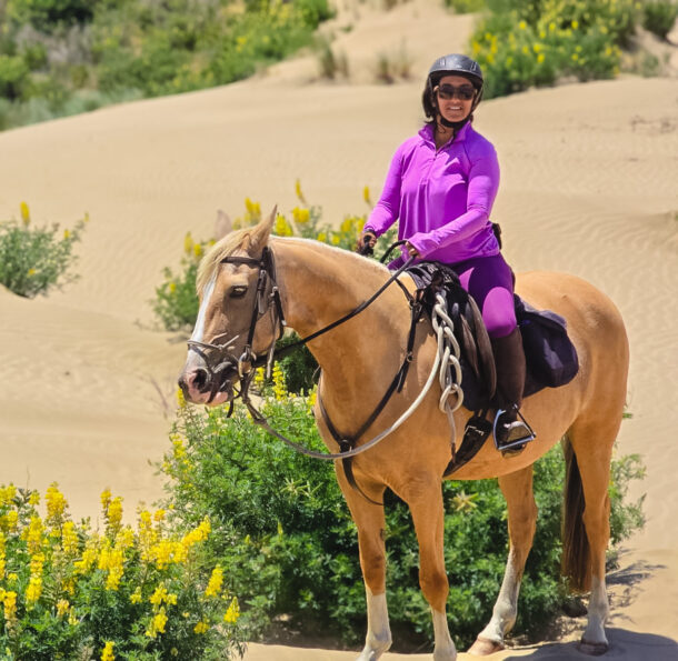 Twin Coast Adventure, New Zealand, Globetrotting Horse Riding Holidays