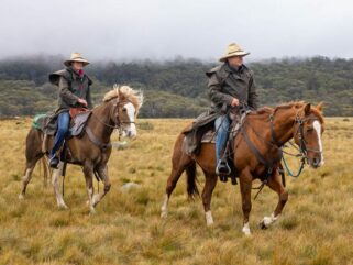 Meet our Guides: Brad & Michaela - The Kosciuszko Ride, New South Wales - Globetrotting horse riding holidays