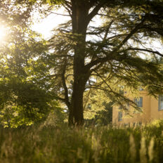 The Scottish Highlands Ride, Scotland - Globetrotting horse riding holidays