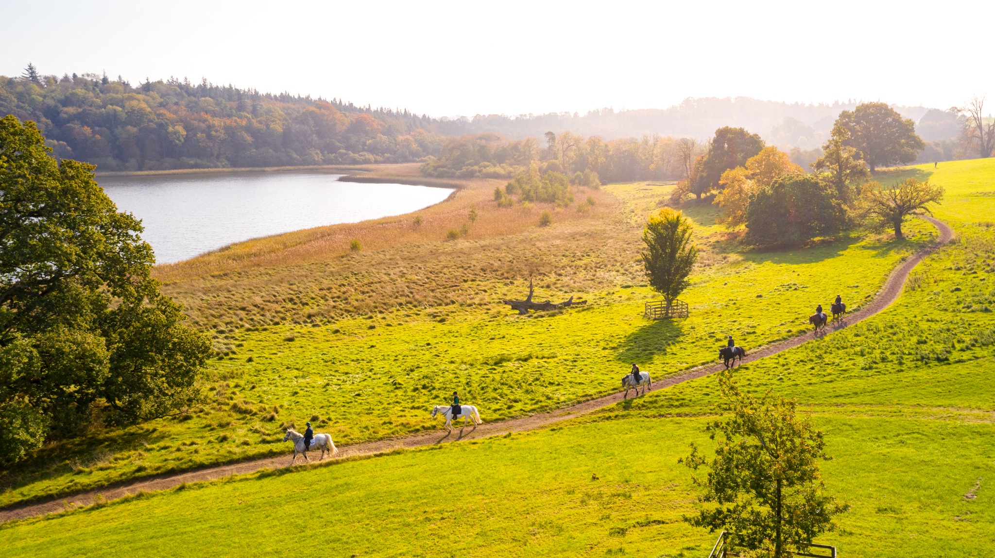 Castle and Estate horse riding holiday in Ireland