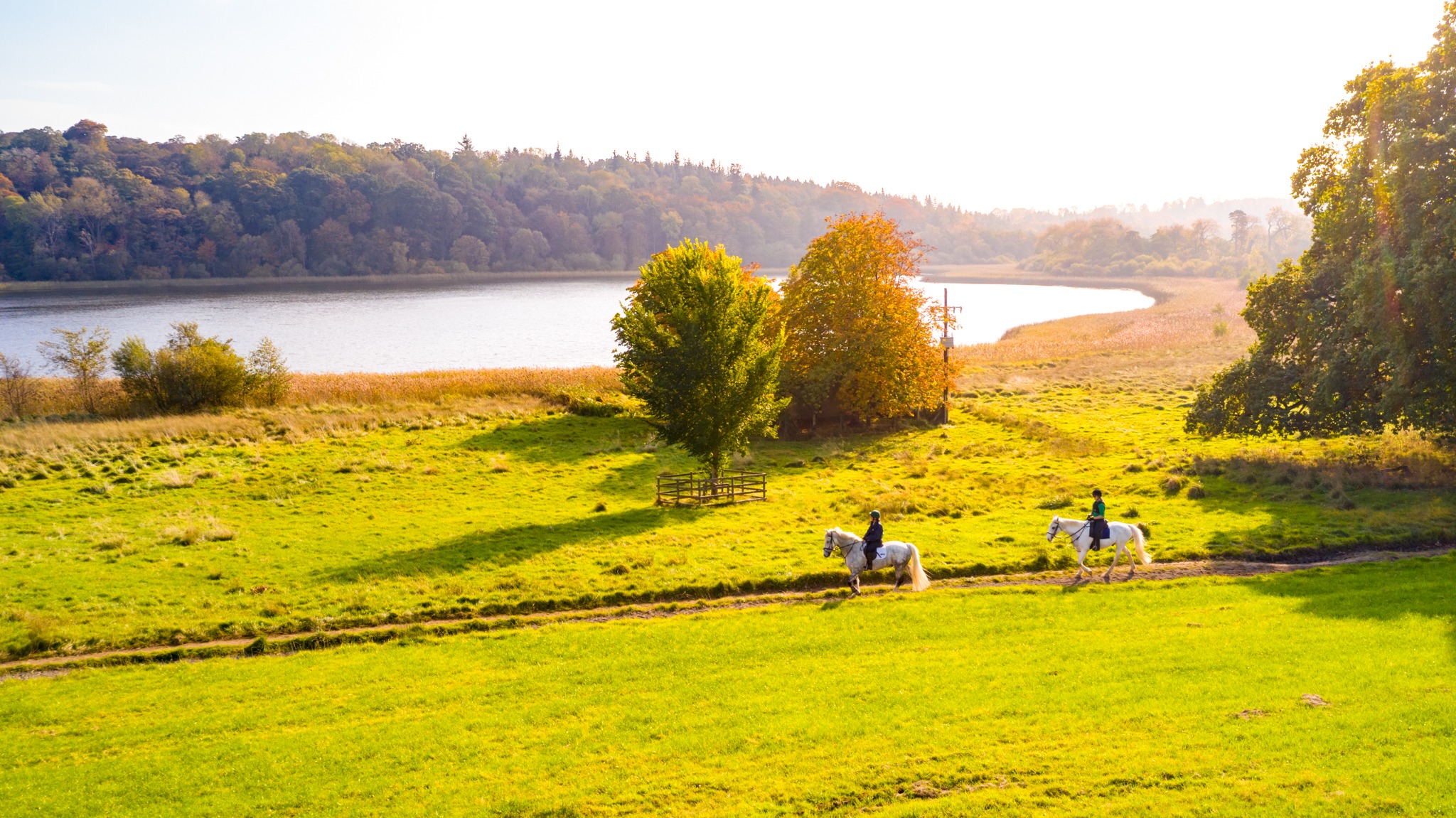 Castle and Estate horse riding holiday in Ireland