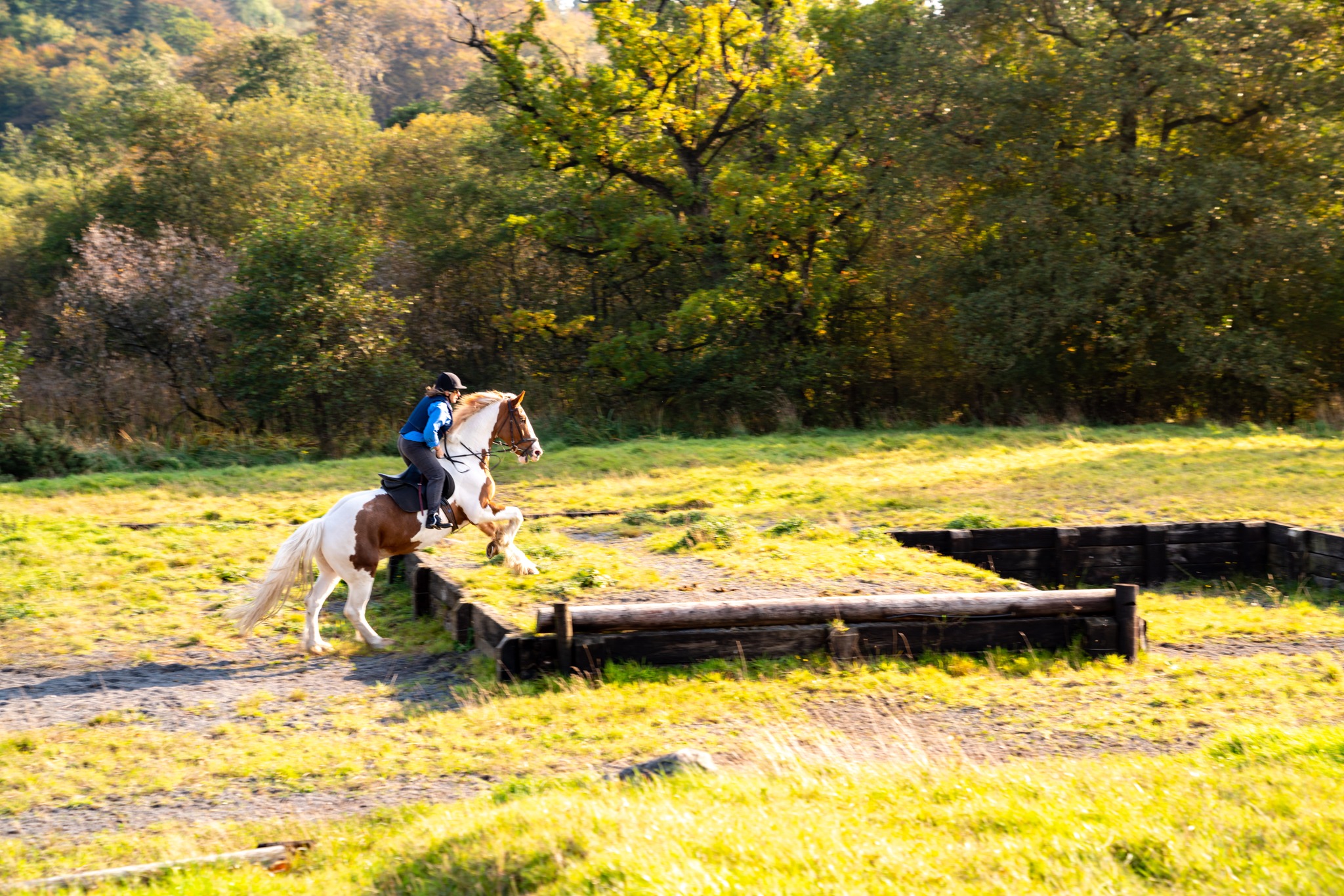 Castle and Estate horse riding holiday in Ireland
