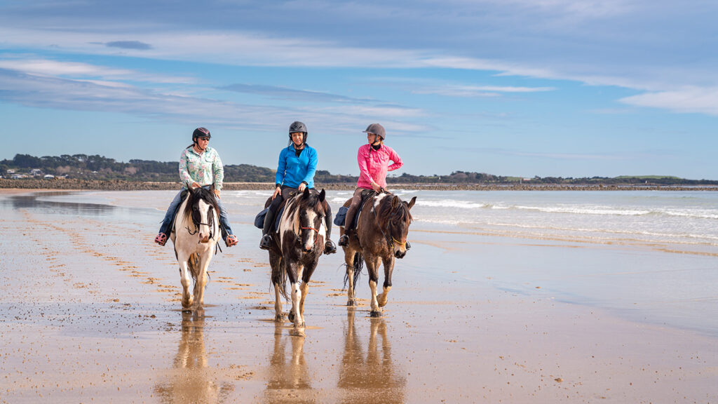 The Tassie Ride - Globetrotting horse riding holidays