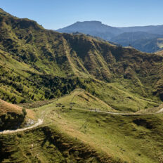 The River Valley Ride, North Island, New Zealand - Globetrotting horse riding holidays