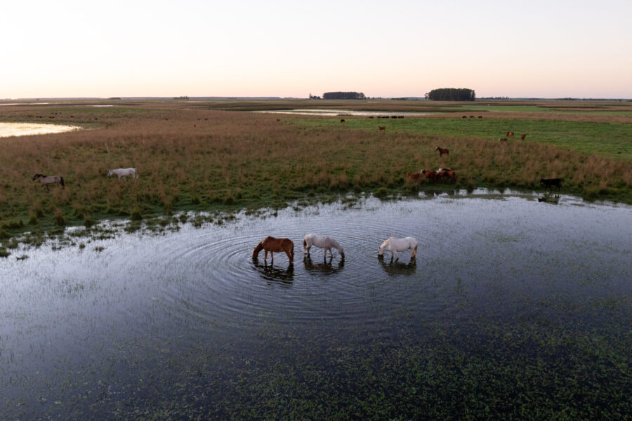 Corrientes, Argentina - Globetrotting horse riding holidays