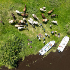 Corrientes, Argentina - Globetrotting horse riding holidays