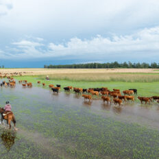 Corrientes, Argentina - Globetrotting horse riding holidays