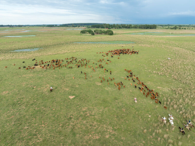 Corrientes, Argentina - Globetrotting horse riding holidays