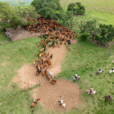 Corrientes, Argentina - Globetrotting horse riding holidays