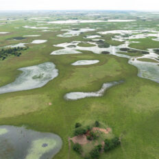 Corrientes, Argentina - Globetrotting horse riding holidays