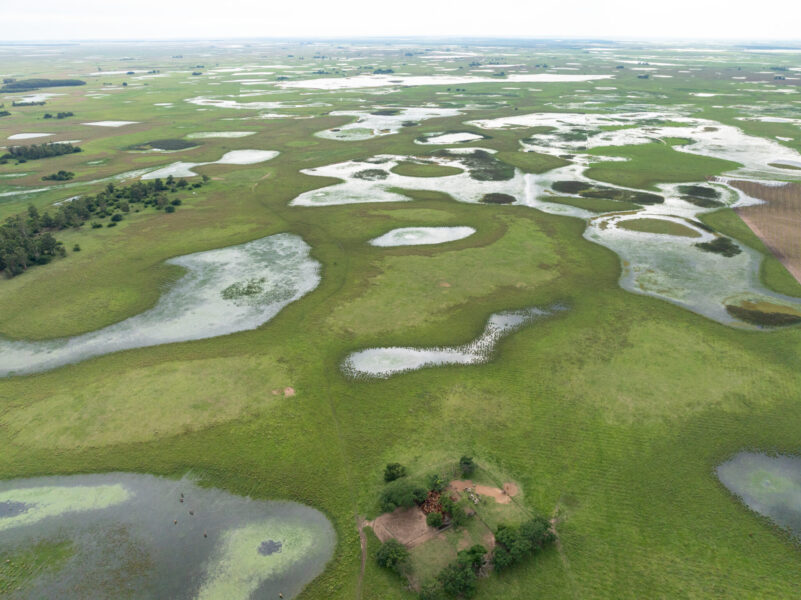 Corrientes, Argentina - Globetrotting horse riding holidays