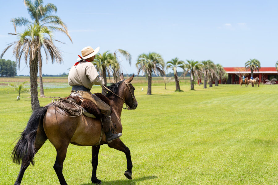 Corrientes, Argentina - Globetrotting horse riding holidays