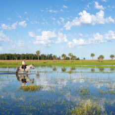 Corrientes, Argentina - Globetrotting horse riding holidays