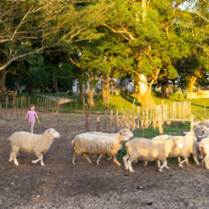 Corrientes, Argentina - Globetrotting horse riding holidays